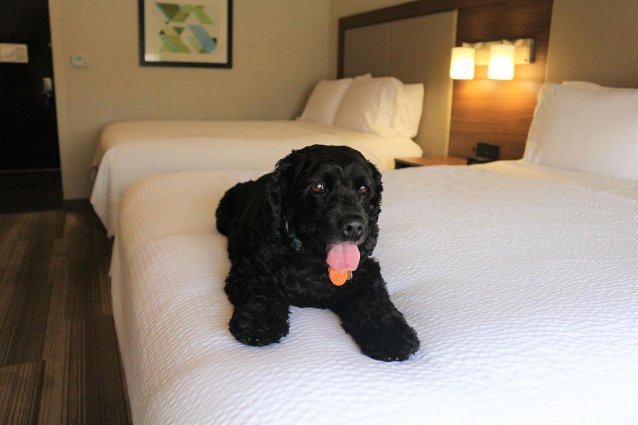 Holiday Inn Express & Suites Albuquerque Historic Old Town By Ihg Bagian luar foto
